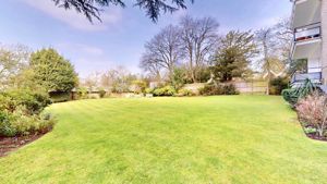 Communal Garden- click for photo gallery